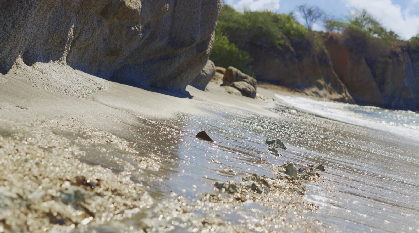 Coastline at low tide, Vieques, Puerto Rico