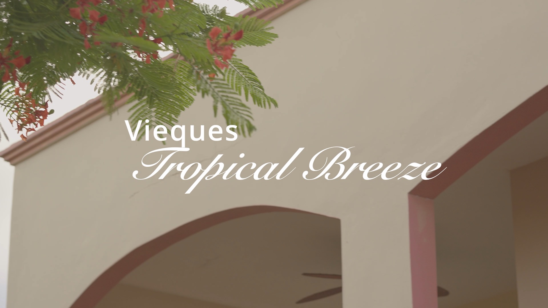 Tropical Breeze, Vieques, hospitality film reference